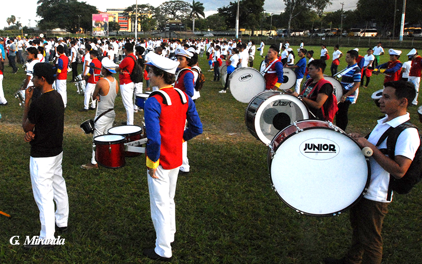 bandas
